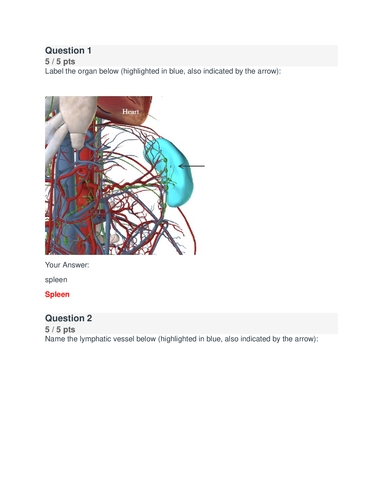 document-preview